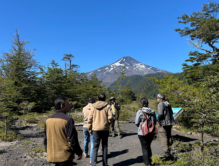 Investigadores en Parque Nacional Villarrica