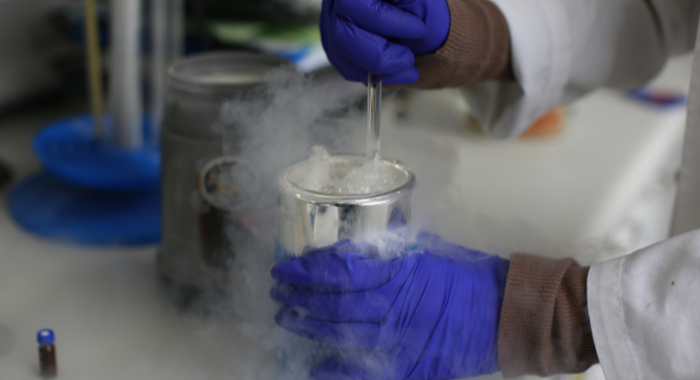 Fotos sitio nuevo uc (9)