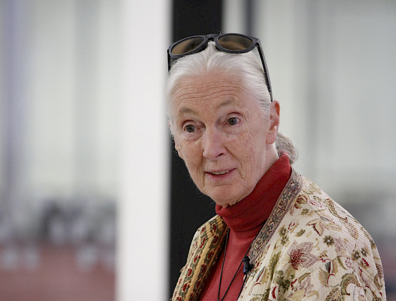 Jane Goodall