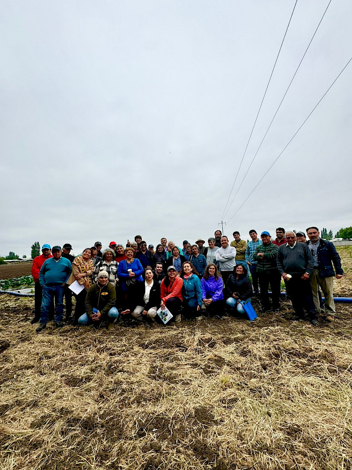 María Angélica Fellenberg