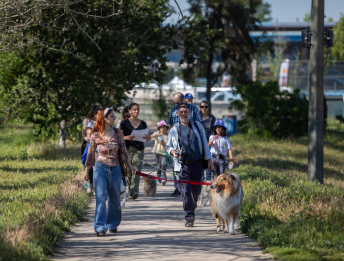 personas con sus mascotas