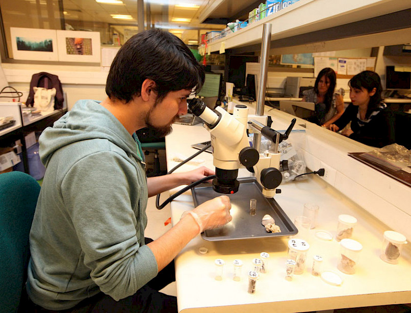 Un hombre mira a través de un microscopio