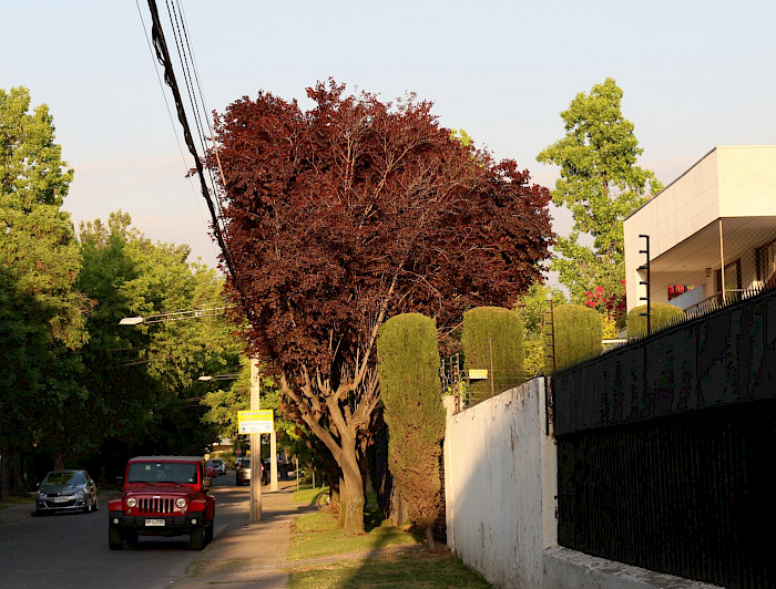 Calle con cableado aéreo