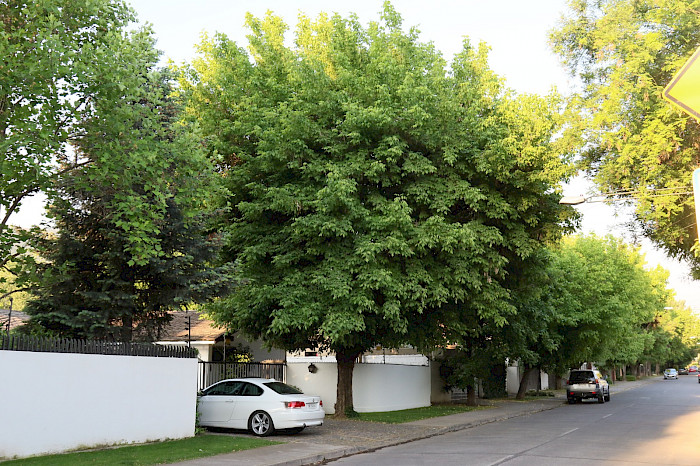 Calle con cableado aéreo