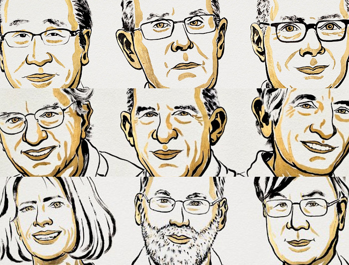 whatsapp_image_2025-10-09_at_15_29_53.700×532