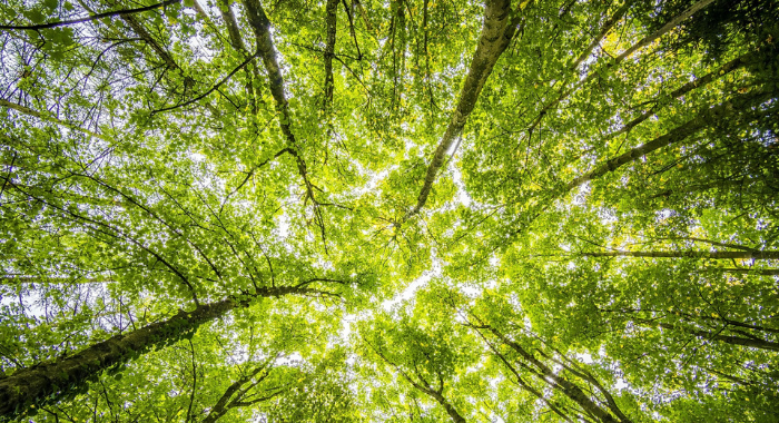 Fotos sitio nuevo uc (17)