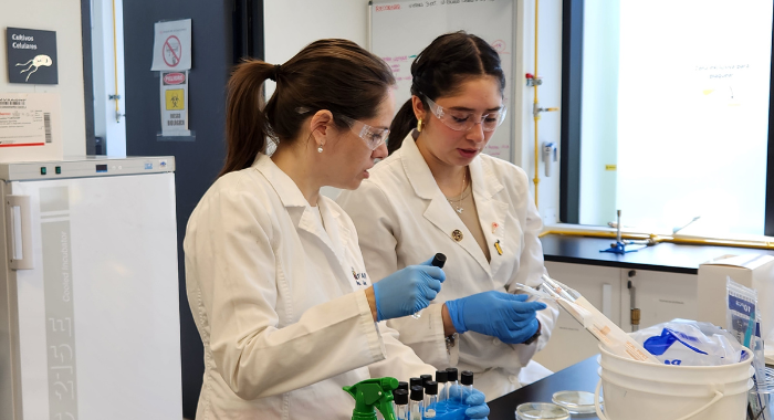 Fotos sitio nuevo uc (21)