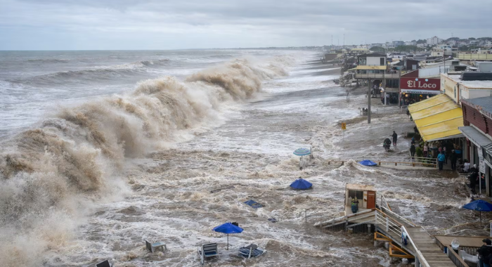 UC es reconocida por transferencia internacional de potencial fármaco contra enfermedades neurodegenerativas 