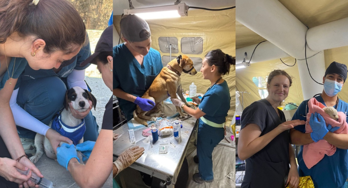 Operativos de emergencia en cerros y hospital de campaña: La labor de la primera generación de veterinarios UC en Penco