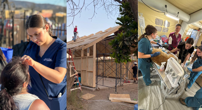 La UC refuerza y amplía su apoyo en Ñuble y Biobío: nuevas acciones en terreno y foco en la recuperación