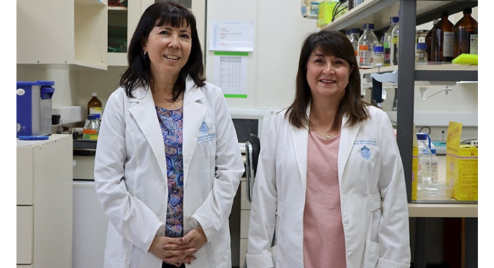 UC es reconocida por transferencia internacional de potencial fármaco contra enfermedades neurodegenerativas 