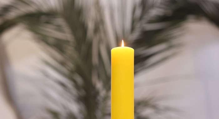 700 x 380 – 2026-03-31T091329.552