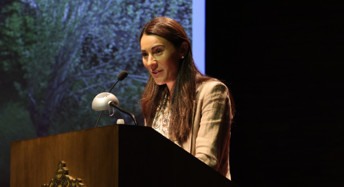 Fotos sitio nuevo uc – 2026-03-27T160917.810