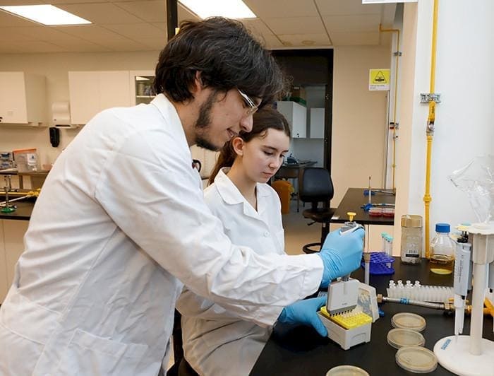 “Me di cuenta de que como estudiante también podía aportar”: La experiencia de integrarse a proyectos de investigación desde pregrado