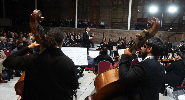 conciertovision1