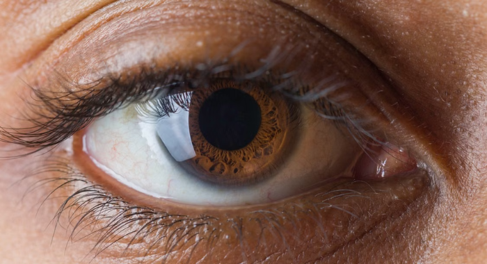 portada_retina_pexels
