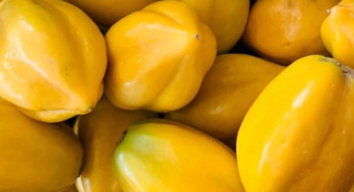 papaya