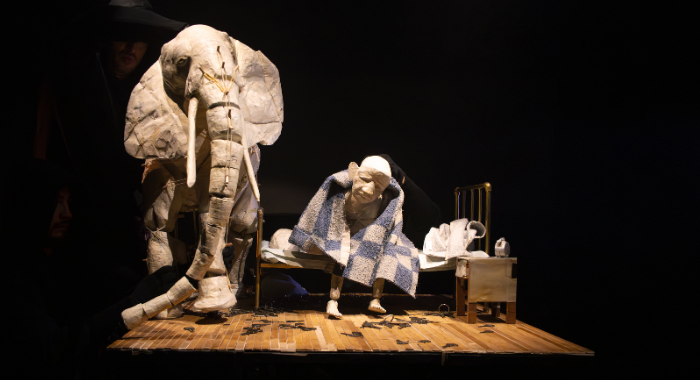 visioncabeza elefante2