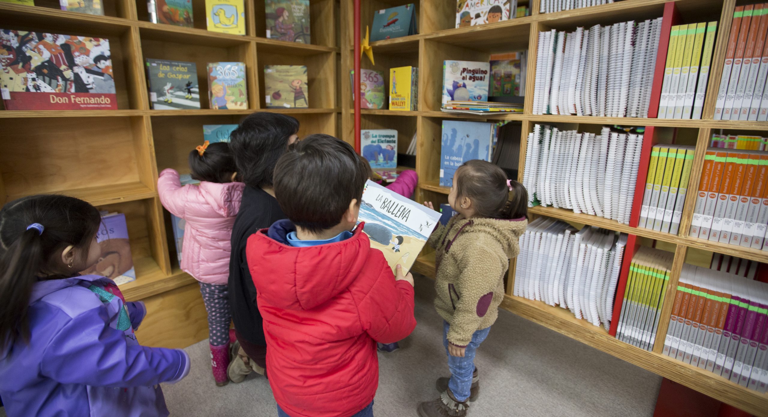 Biblioteca escolar futuro de Villarrica
