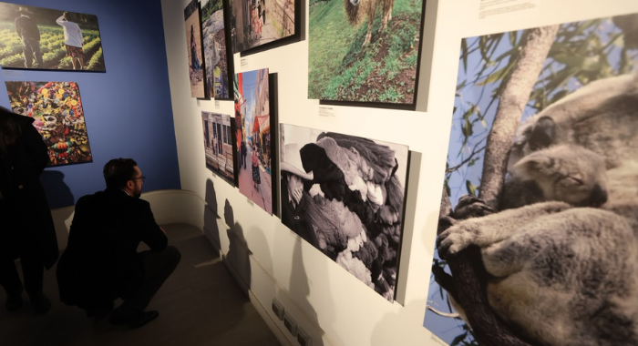 vision_expo intercultura3